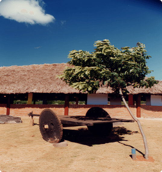 Imagem da Casa do Cerrado